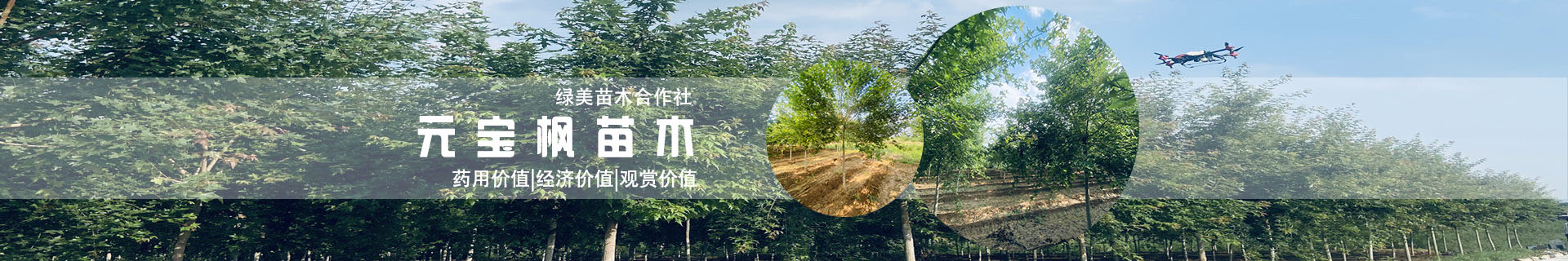 新聞動(dòng)態(tài) 新聞動(dòng)態(tài)