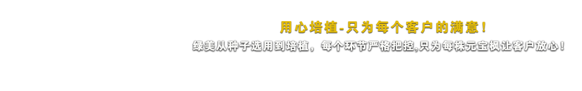 用心培植-只為每個(gè)客戶(hù)滿(mǎn)意！